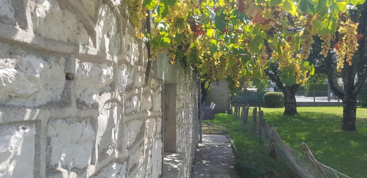 Wifi Clim Garage Jardin Bbq Cosy House Villa Brive-la-Gaillarde Dış mekan fotoğraf